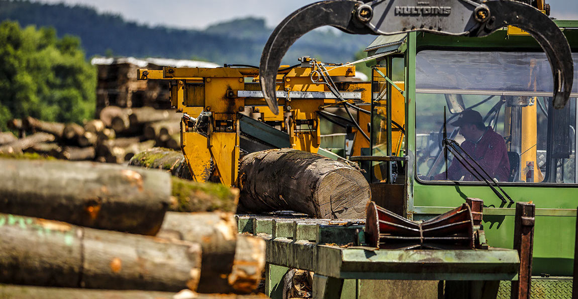 Buche, Eiche, Ahorn, Esche, Sägewerk, Laubholzsägewerk, Klimahalle, Vakuumkammer, Blockbandsäge